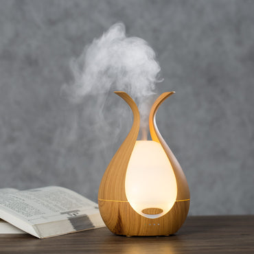 Sculptural Diffuser