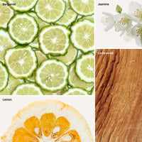 Cedar Bergamote Reed Diffuser