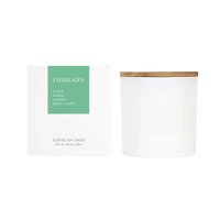 National Parks 3-Wick Candle