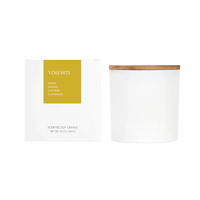 National Parks 3-Wick Candle
