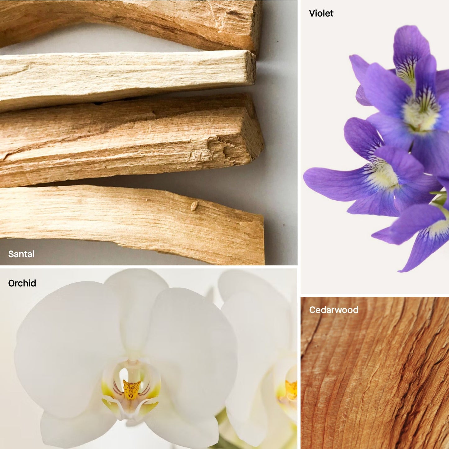Santal Reed Diffuser