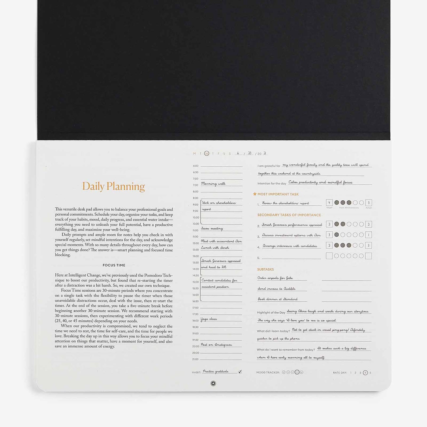 Productivity Daily Desk Pad