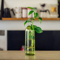 Kilua Vase - Upcycled Glass