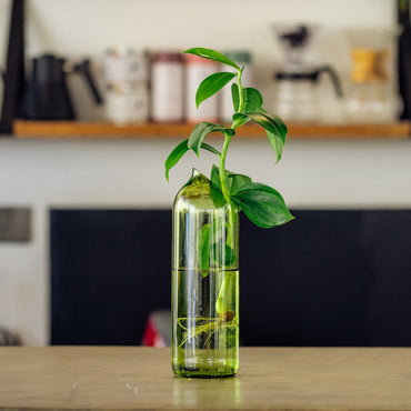 Kilua Vase - Upcycled Glass