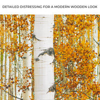 Autumn Tree Barks - Canvas Print