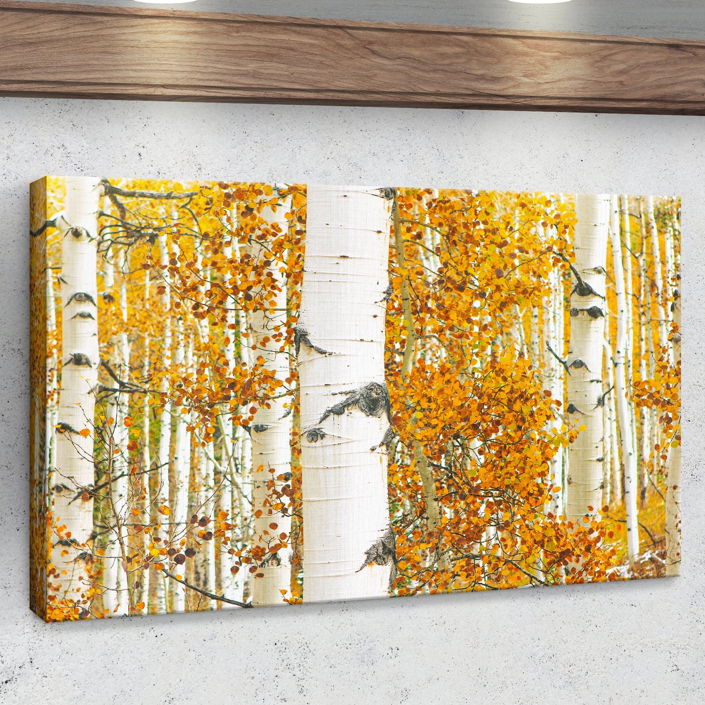 Autumn Tree Barks - Canvas Print