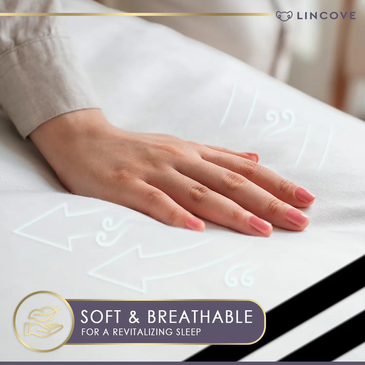 Cotton Duvet Cover Set