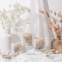 Duvet Luxury Soy Candle - 12 oz