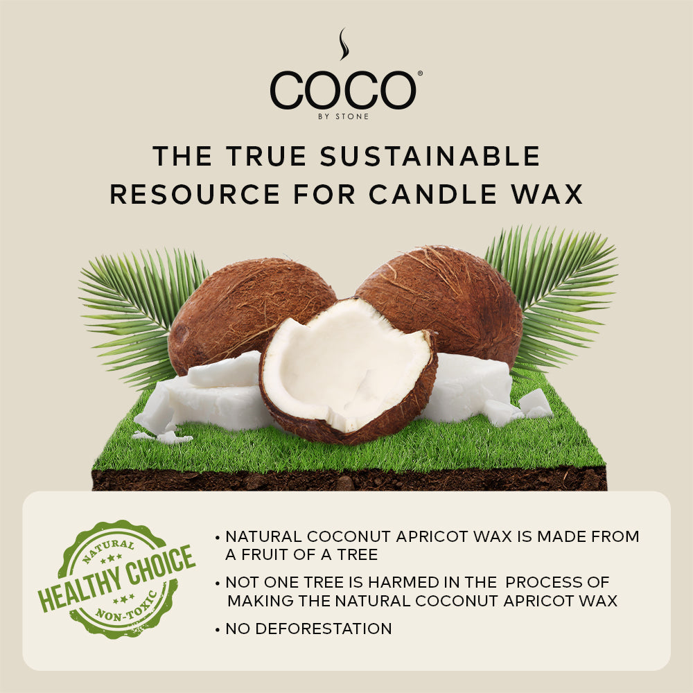 Santal Natural Coconut Apricot Wax Candle