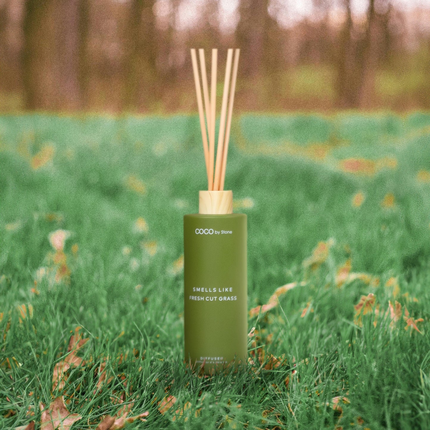 Smells Like Fresh Cut Grass Reed Diffuser - 5oz