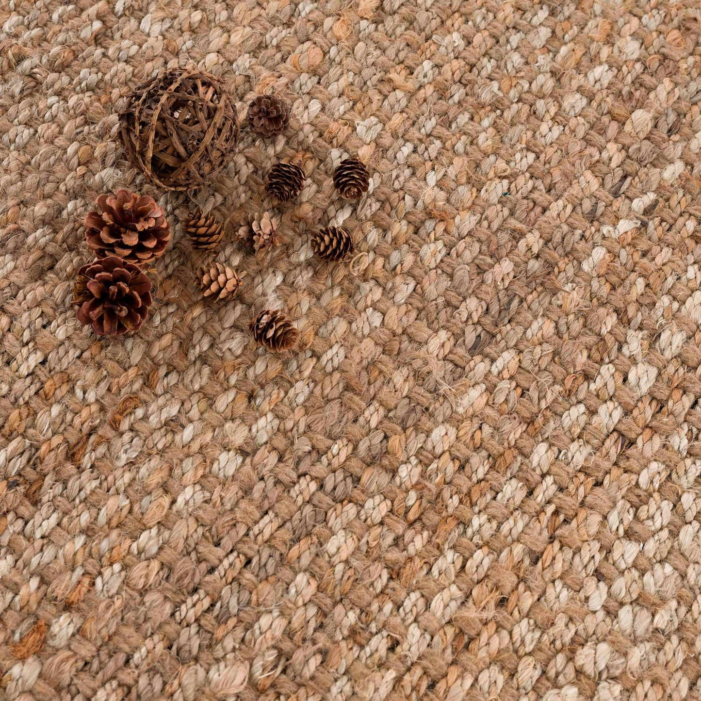 Braided Jute Rug