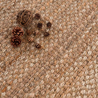 Braided Jute Rug