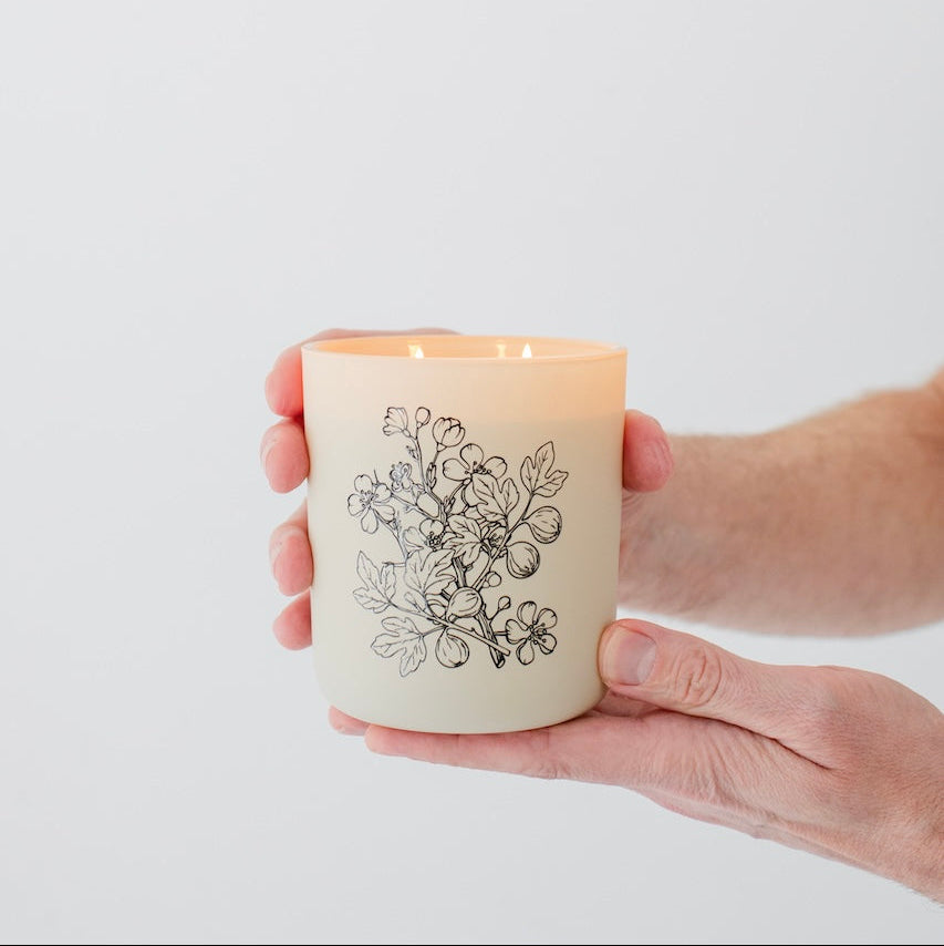 Orchard Luxury Soy Candle - 12 oz
