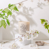 Orchard Luxury Soy Candle - 12 oz