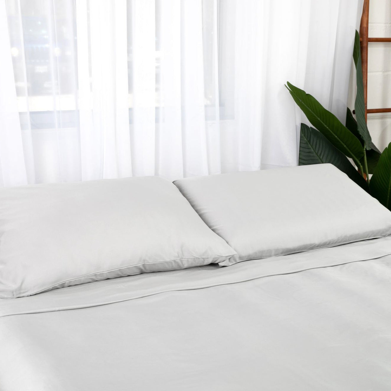Bamboo Viscose Sheets Set