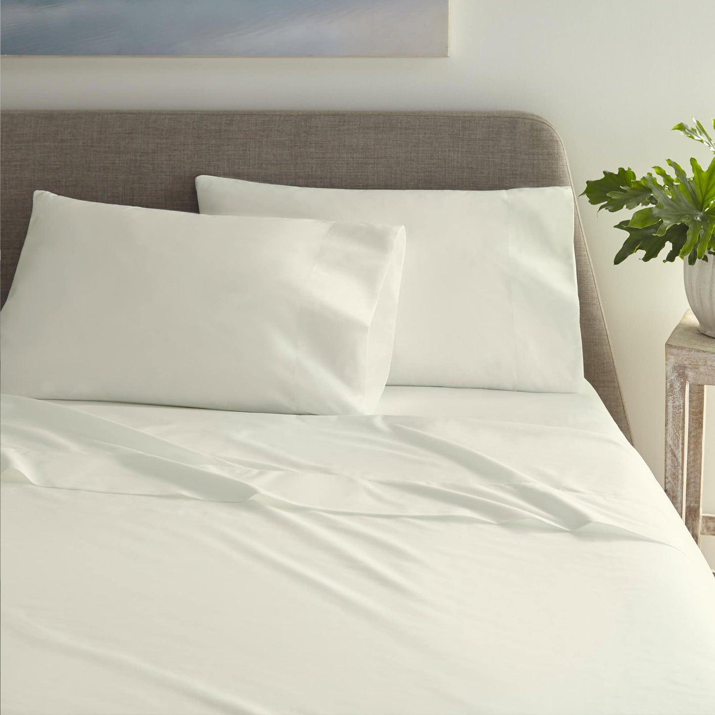 Organic Cotton Percale Sheet Set