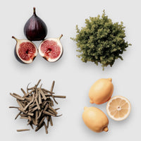 Fresh Fig Reed Diffuser - 3.5 oz