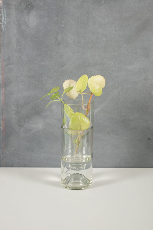 Self Watering Planter - Recycled Glass