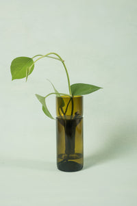 Self Watering Planter - Recycled Glass