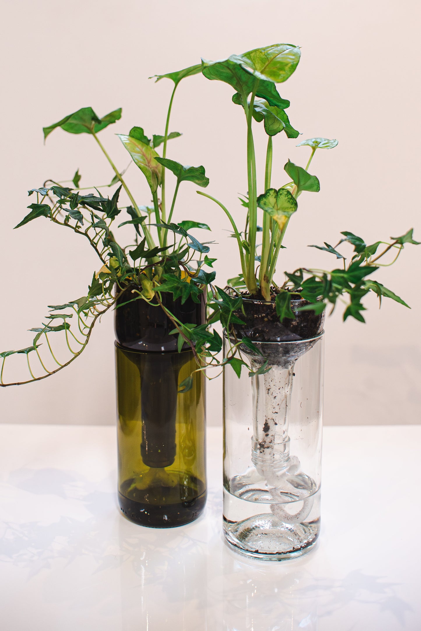 Self Watering Planter - Recycled Glass