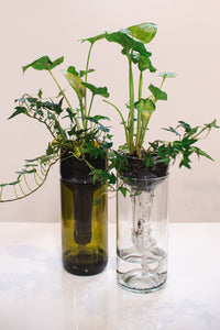 Self Watering Planter - Recycled Glass