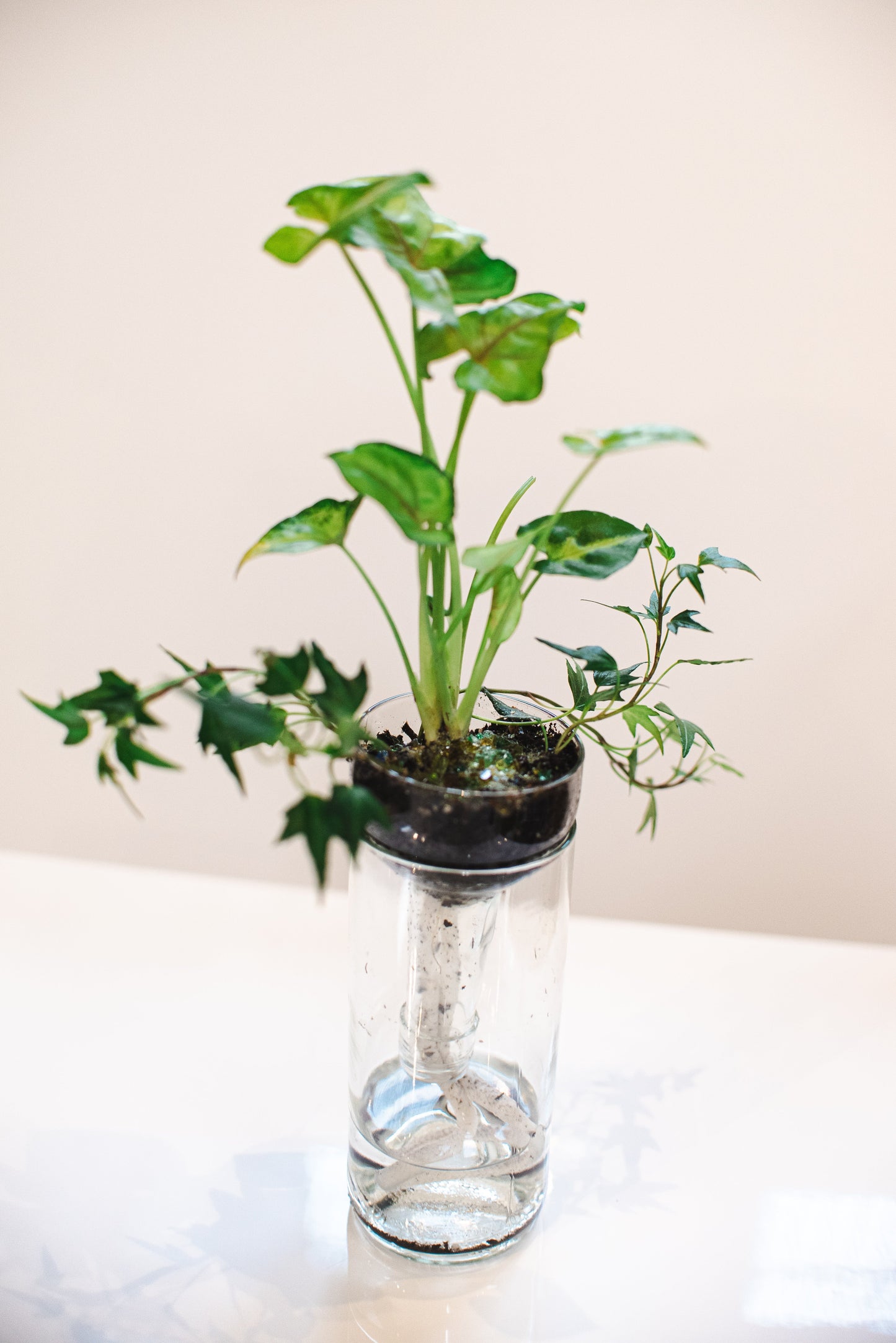 Self Watering Planter - Recycled Glass