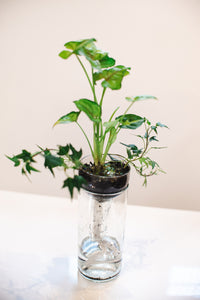 Self Watering Planter - Recycled Glass