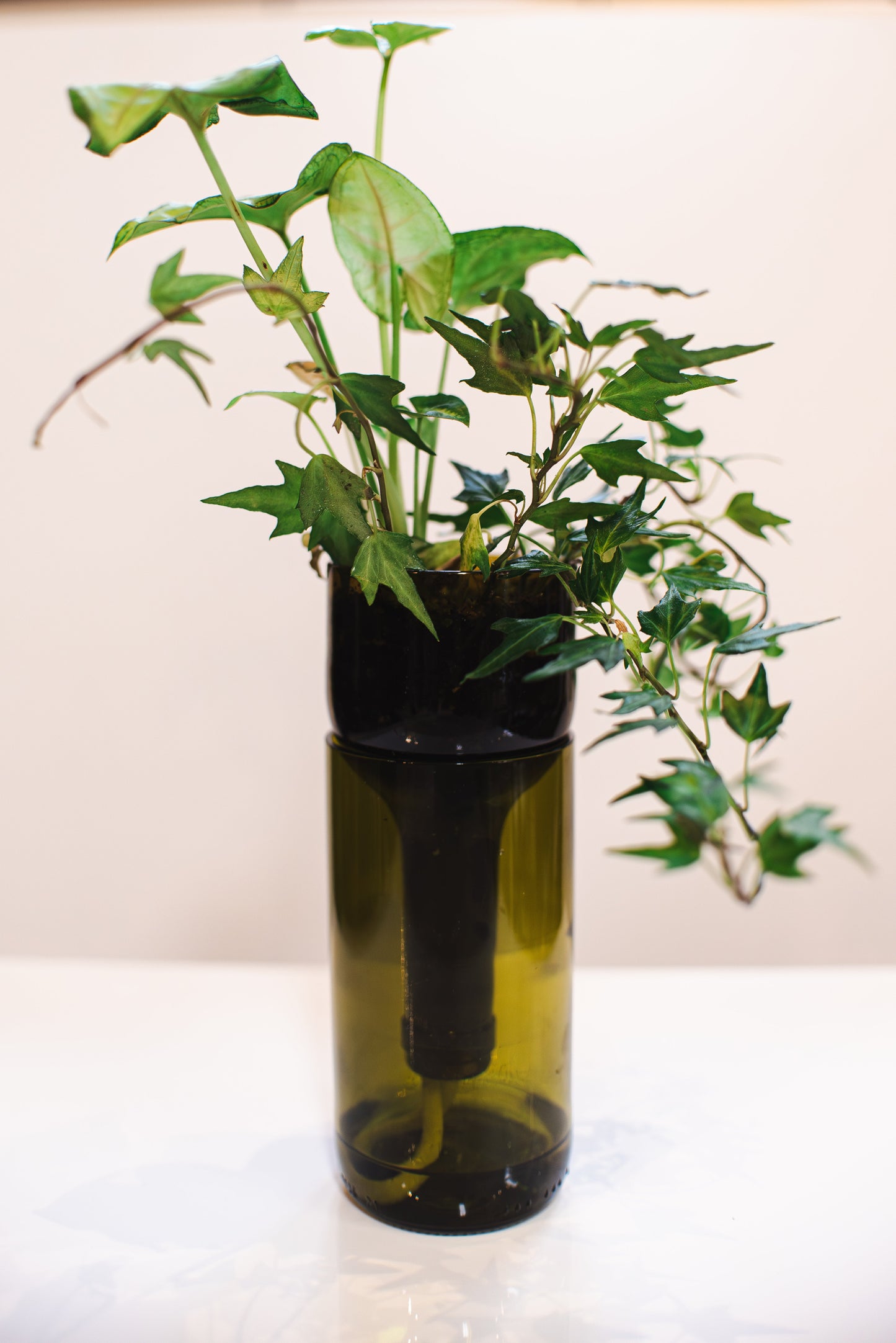 Self Watering Planter - Recycled Glass