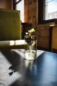 Self Watering Planter - Recycled Glass