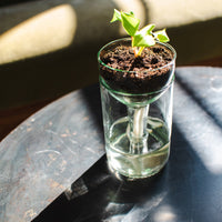 Self Watering Planter - Recycled Glass