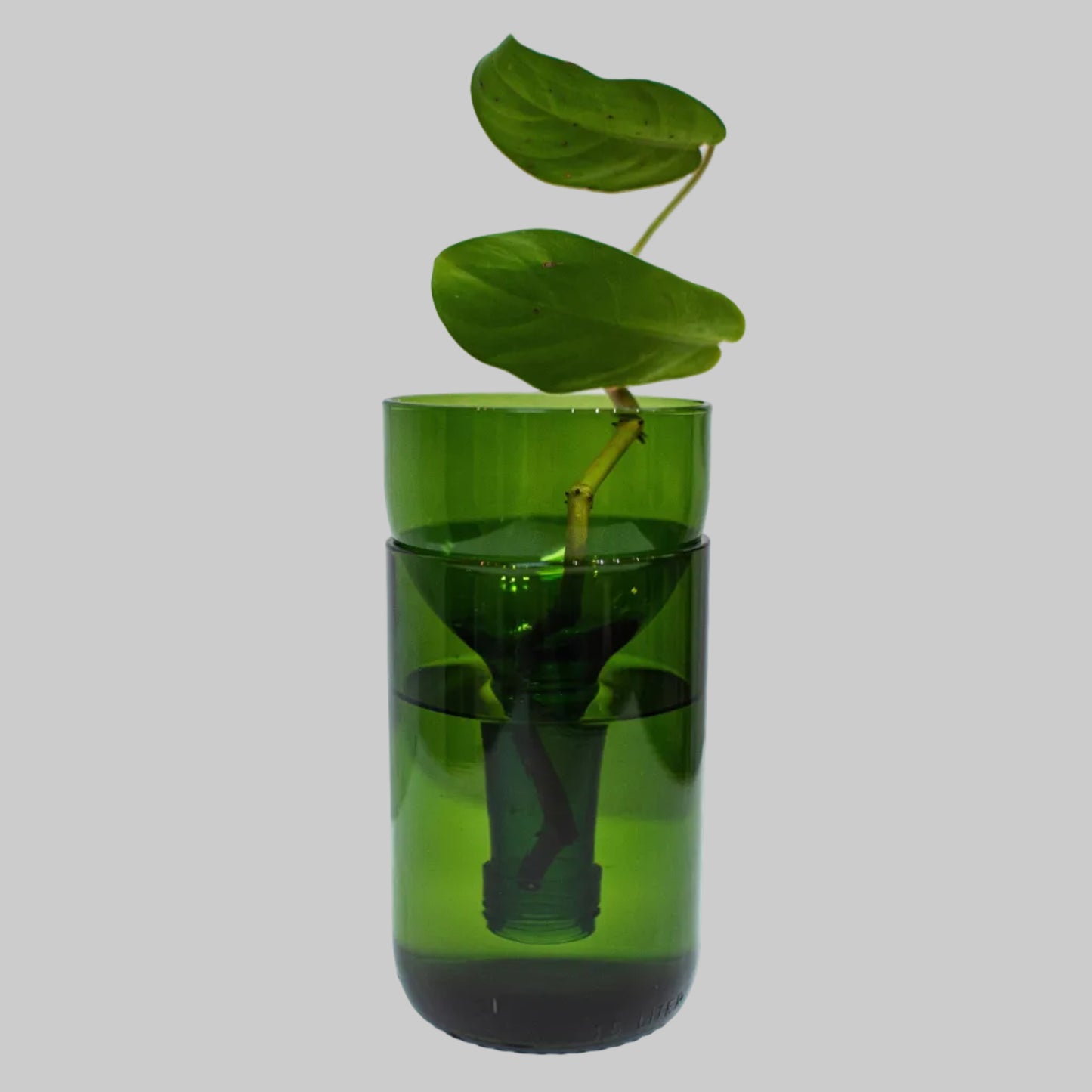 Self Watering Planter - Recycled Glass