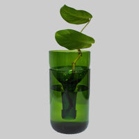 Self Watering Planter - Recycled Glass