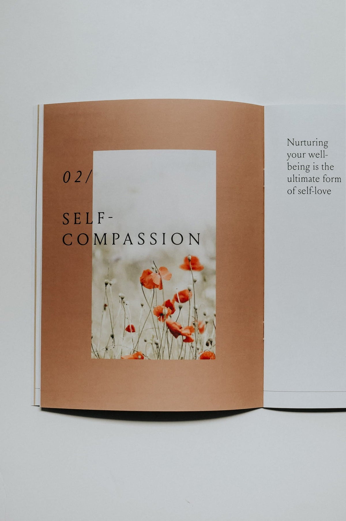 Everyday Positive Journal