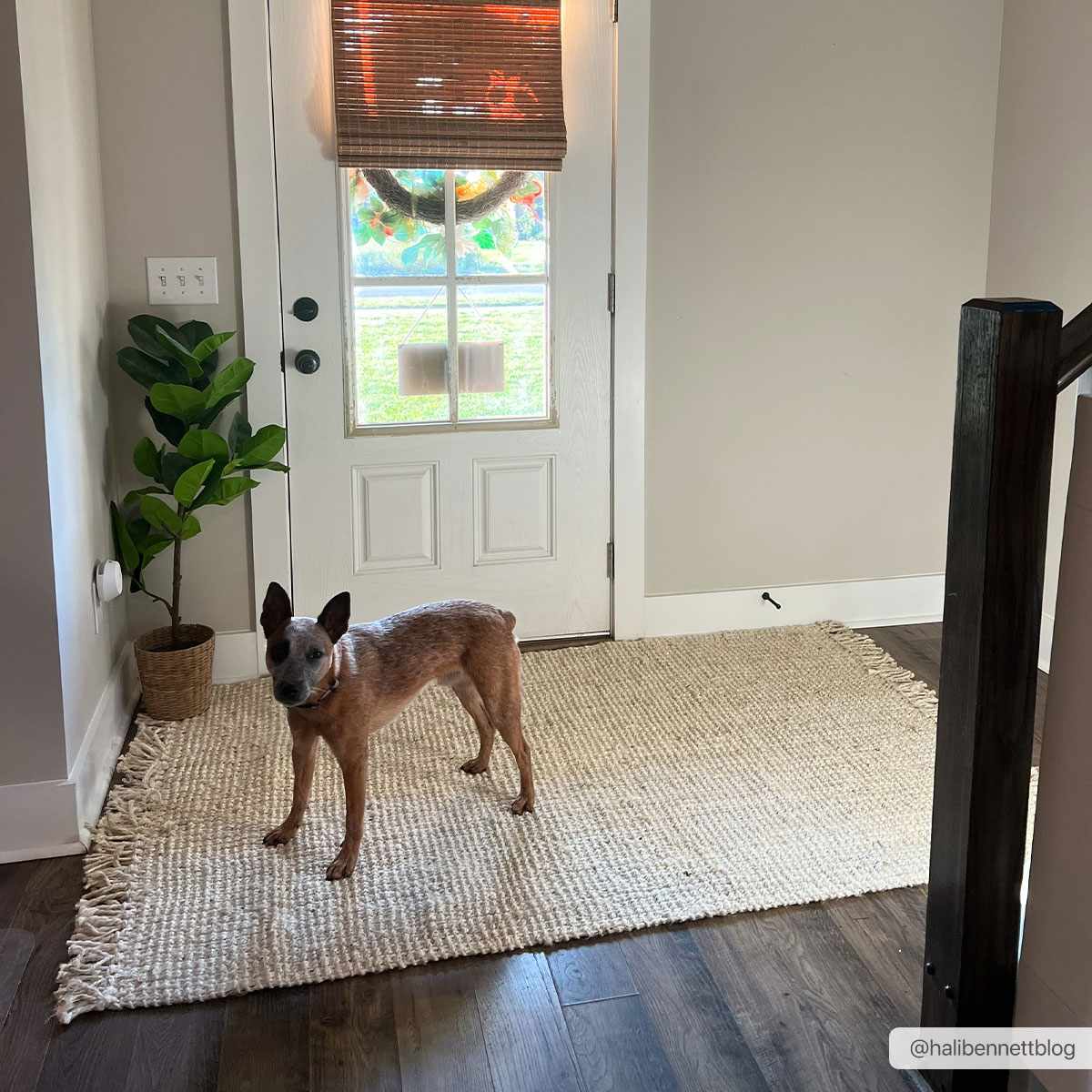 Aloka Bleached Jute Rug