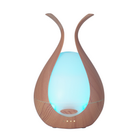 Sculptural Diffuser