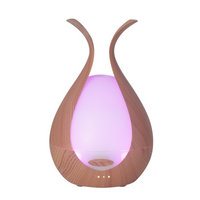 Sculptural Diffuser