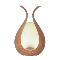 Sculptural Diffuser