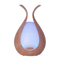 Sculptural Diffuser