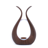 Sculptural Diffuser