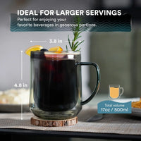 Double Wall Glass Mug - Set of 2