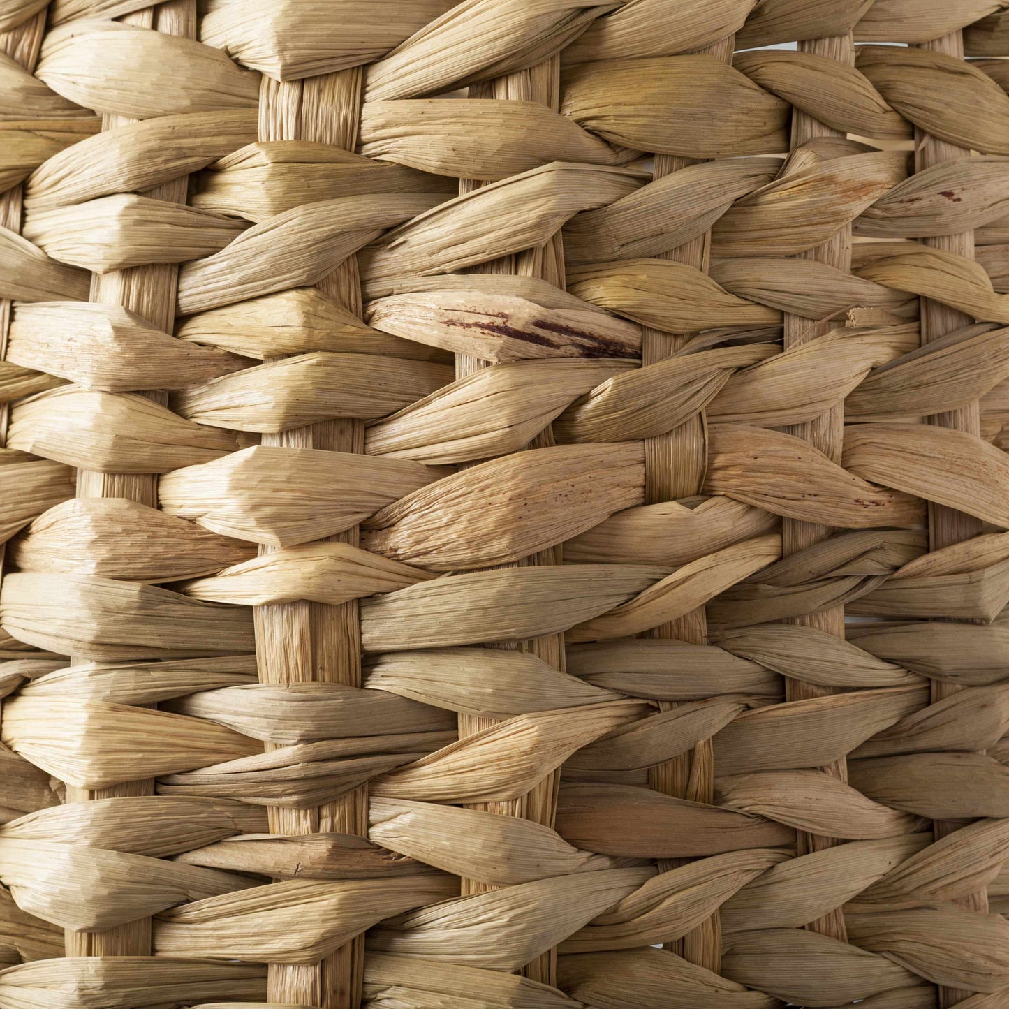 Maren Seagrass Table Lamp