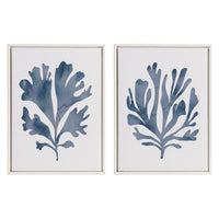 Coral Blue - Framed Print Set