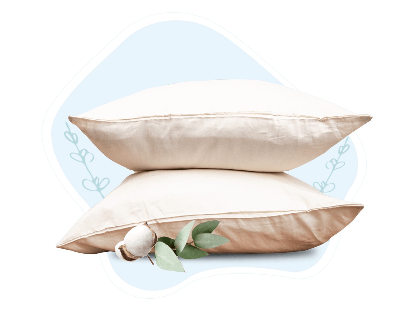 Organic Sateen Bed Sheet Set