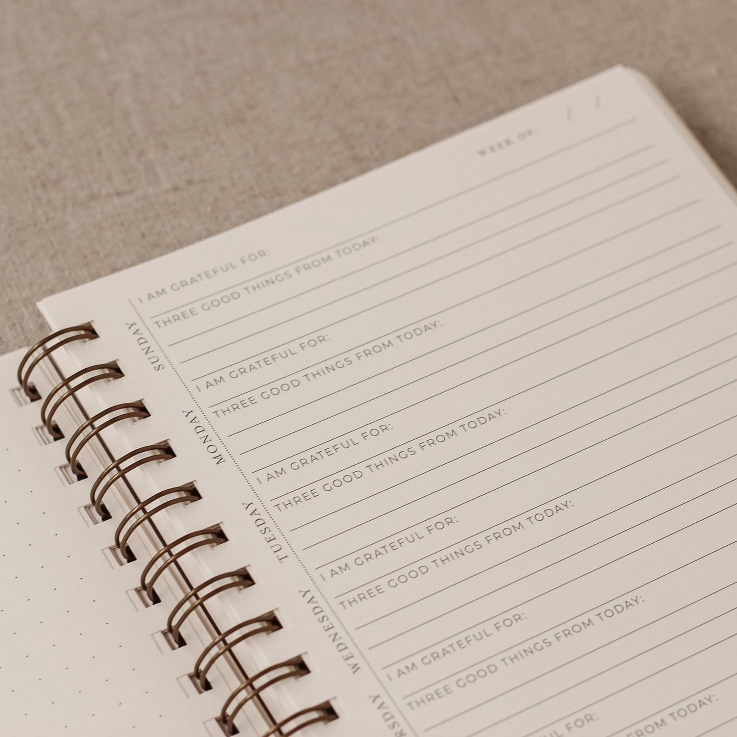 Surround Yourself with Happiness Journal