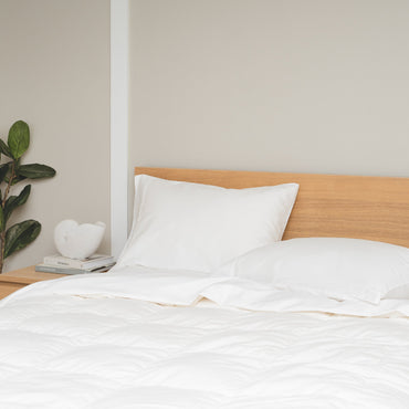 Organic Sateen Bed Sheet Set